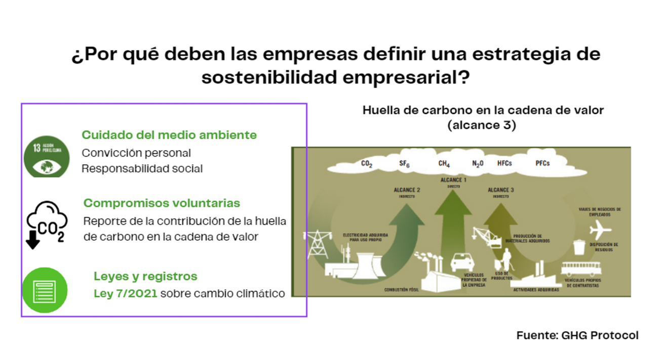 SUSTAINABILITY ANALYTICS